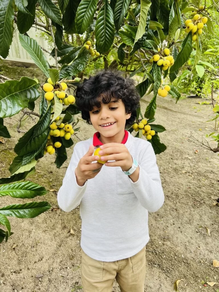 Low-hanging fruit in life